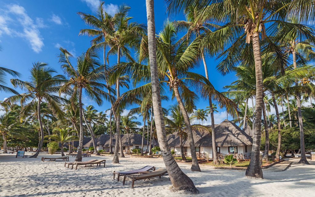 Beachfront Bungalows with palm trees in Zanzibar